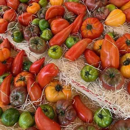 La Cigale Varoise - La Apartman