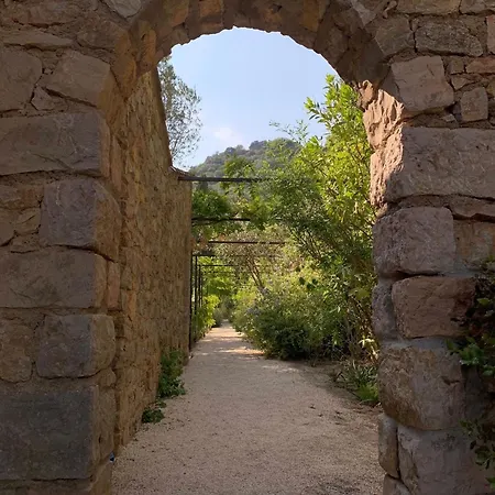 La Cigale Varoise - La